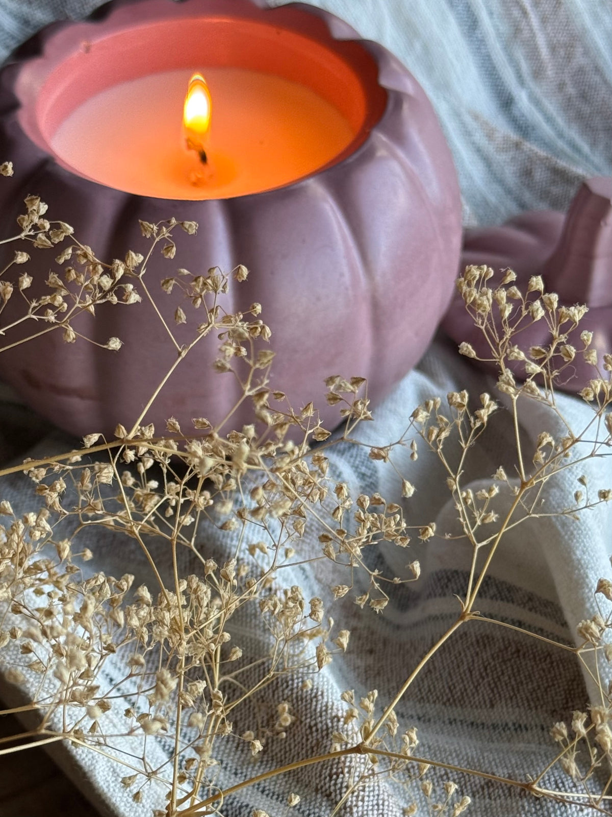 Fall Collection